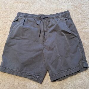American Eagle Outfitters Charcoal Flat Front Shorts